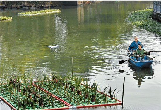 湖州德清 特殊“河長”無人機 河道水質(zhì)實時看,。葉寒青攝.jpg